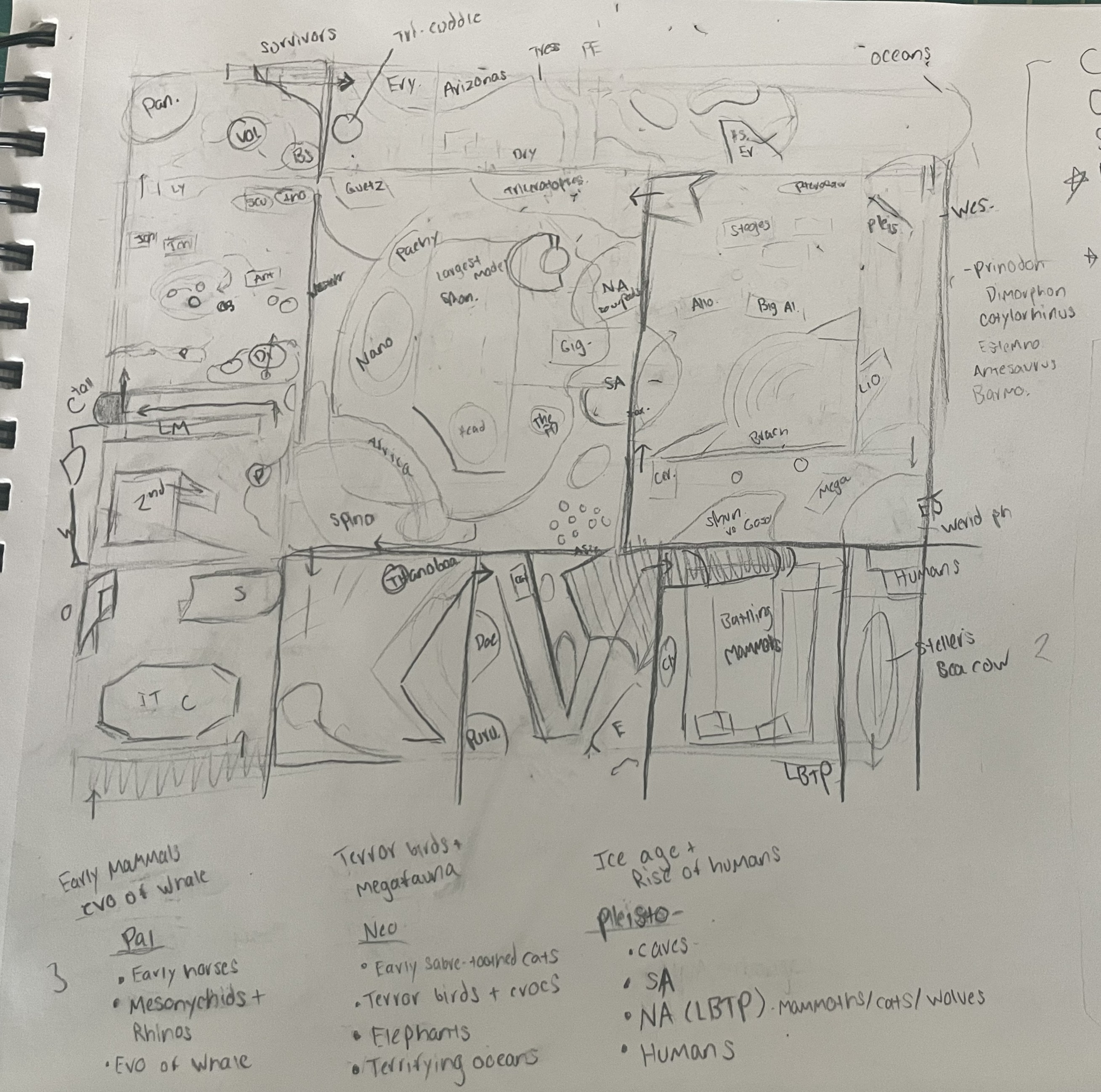 Initial travel exhibit layout sketch
